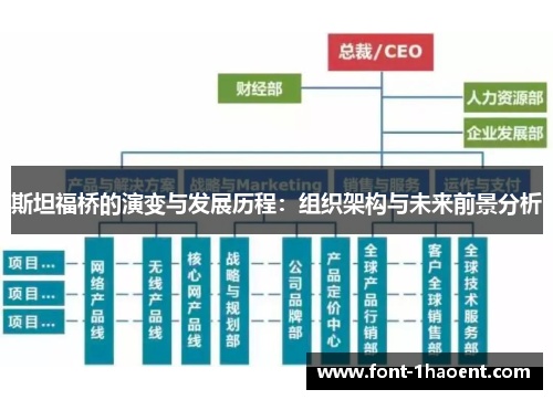 斯坦福桥的演变与发展历程：组织架构与未来前景分析