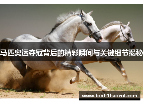 马匹奥运夺冠背后的精彩瞬间与关键细节揭秘