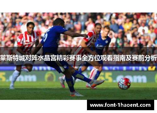 莱斯特城对阵水晶宫精彩赛事全方位观看指南及赛前分析