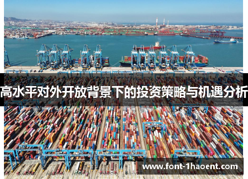 高水平对外开放背景下的投资策略与机遇分析 高水平对外开放背景下的投资策略与机遇分析